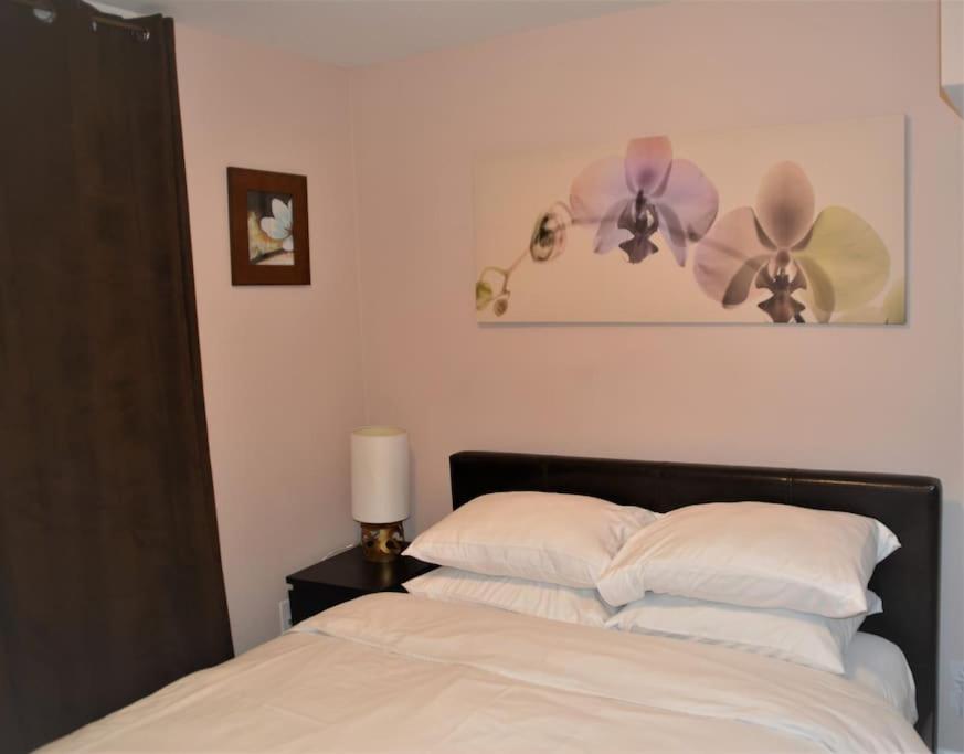 Beautiful And Spacious Basement Apartment แบรมพ์ตัน ภายนอก รูปภาพ